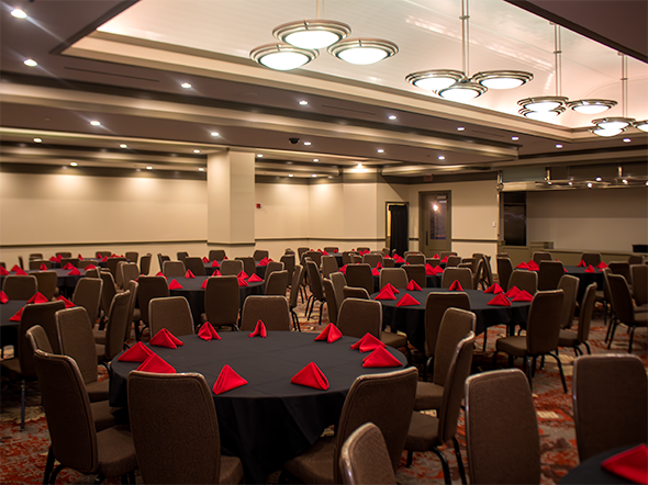 Image of Falcon Room